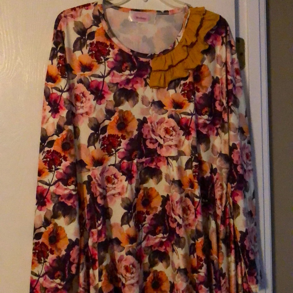 Sweet Modesty Long Sleeve tunic